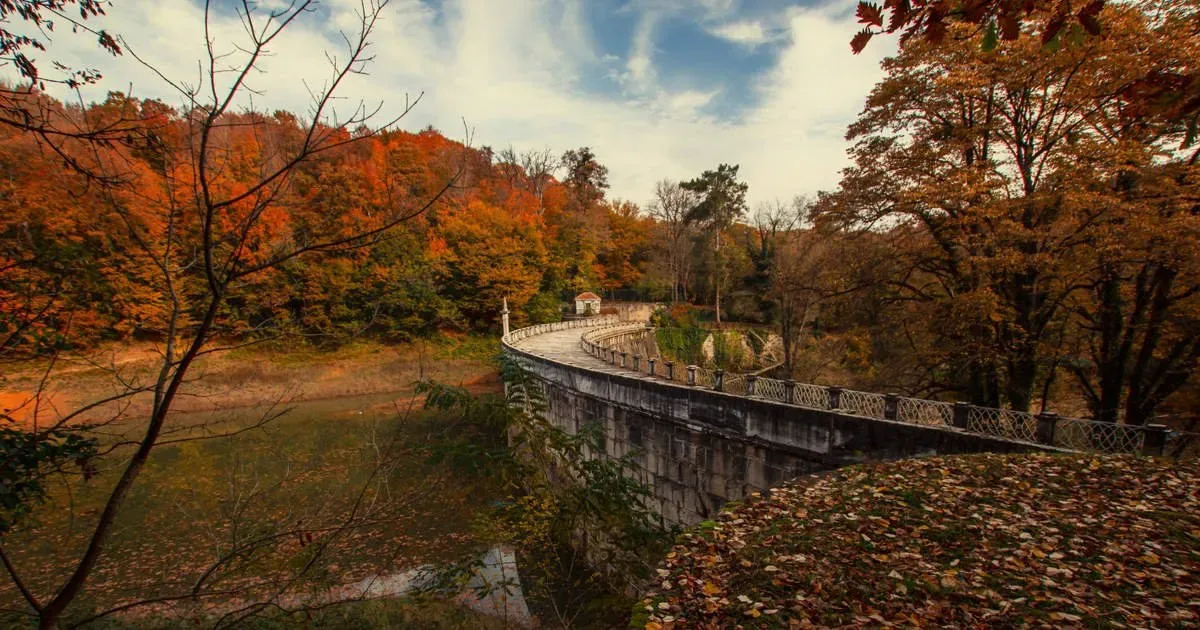 Belgrad Forest