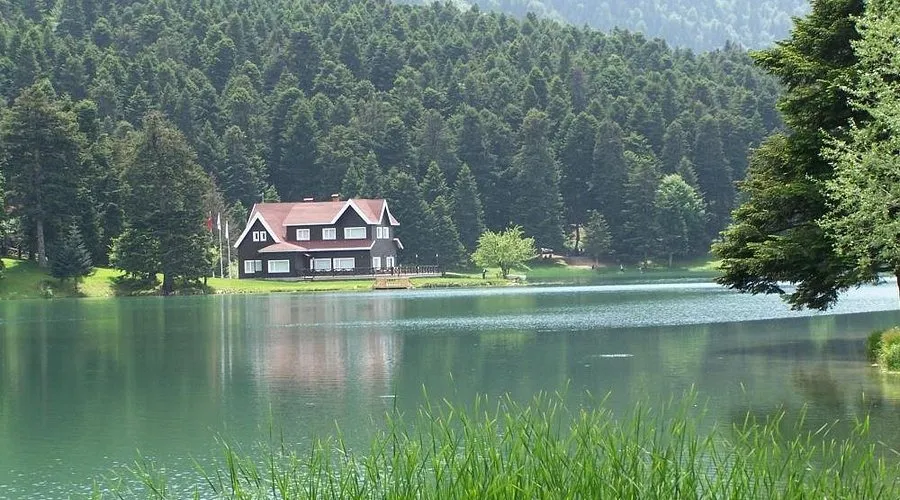 Bolu