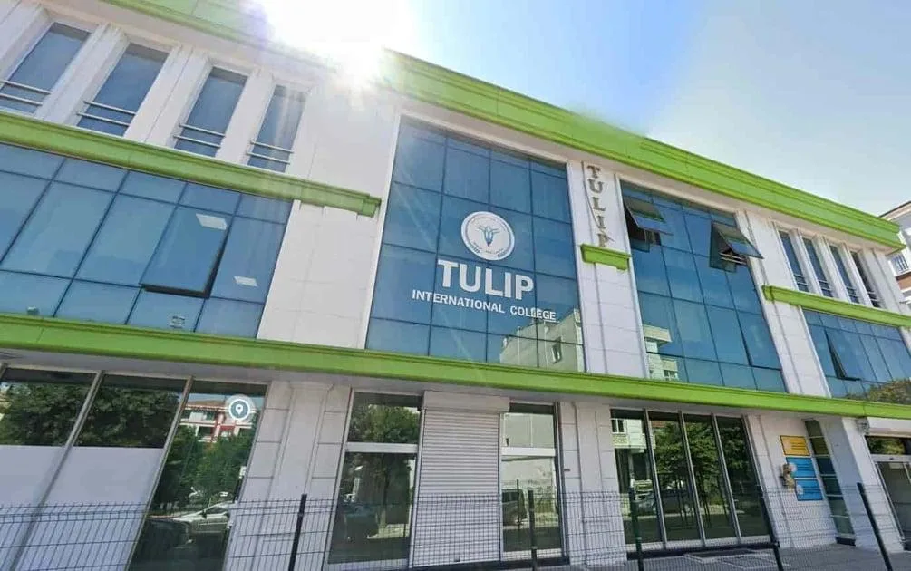 Tulip International School